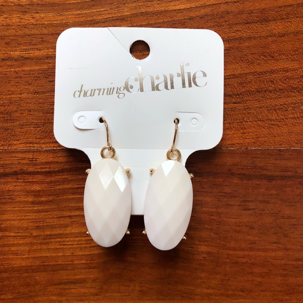 🌵Charming Charlie Necklace and Earring Set - Picture 3 of 3
